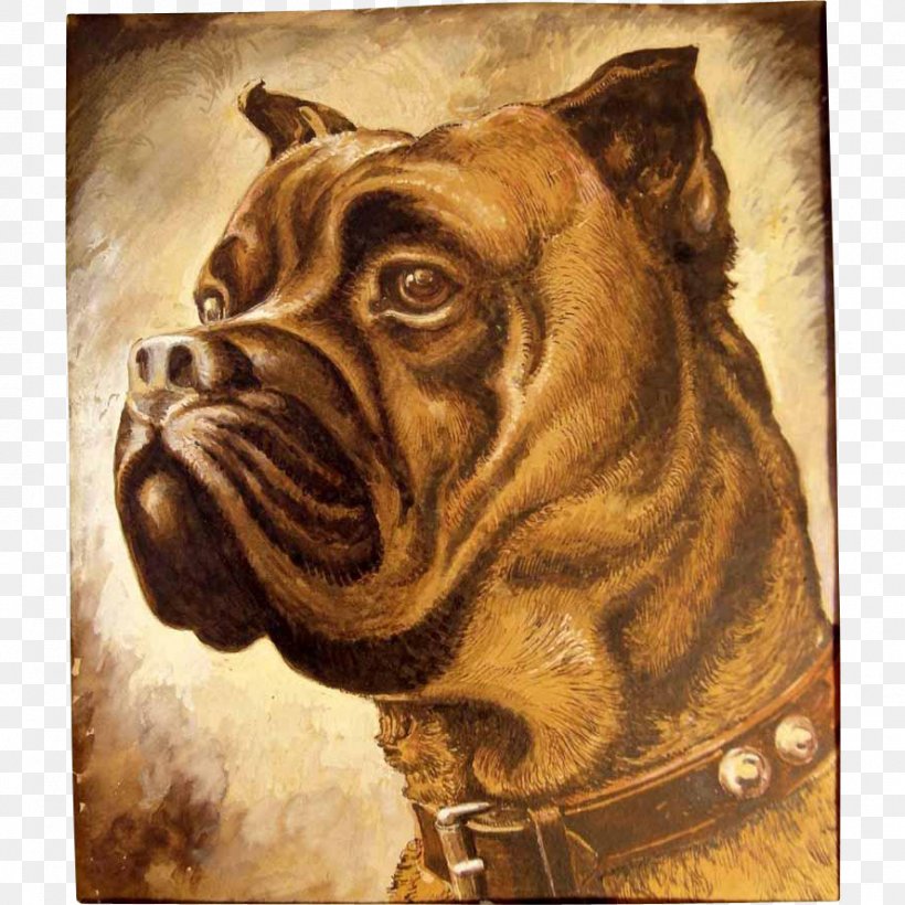 Dog Breed Bullmastiff Bulldog Snout, PNG, 889x889px, Dog Breed, Breed, Bulldog, Bullmastiff, Carnivoran Download Free