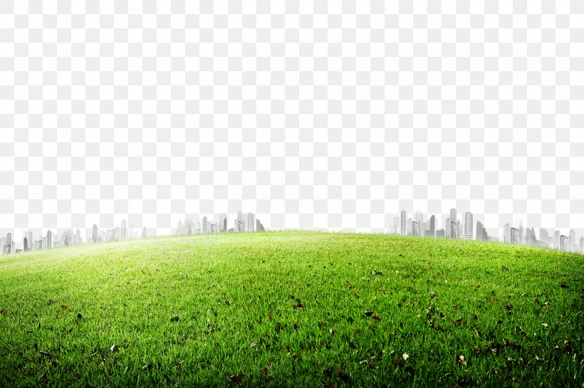 Grasses Icon, PNG, 5200x3458px, Lawn, Artificial Turf, Bluegrass, Daytime, Energy Download Free