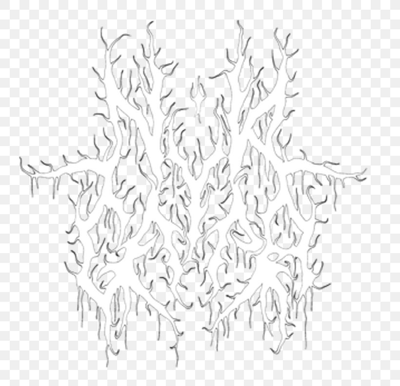 Line Art Point, PNG, 800x793px, Line Art, Art, Black And White, Branch, Drawing Download Free