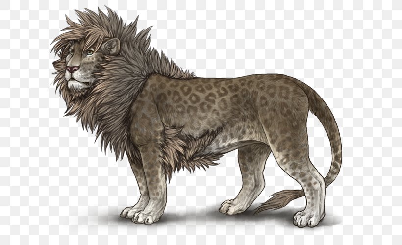 Lion Wiki Clip Art, PNG, 640x500px, Lion, Am Consolidated High School, Big Cat, Big Cats, Carnivoran Download Free
