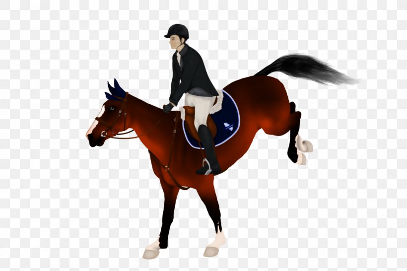 Hunt Seat Equestrian Clip Art, PNG, 1095x730px, Hunt Seat, Animal Sports, Animal Training, Art, Bridle Download Free