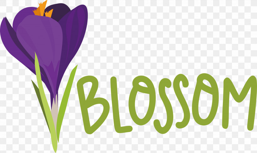 Lavender, PNG, 6008x3582px, Flower, Biology, Crocus, Lavender, Logo Download Free