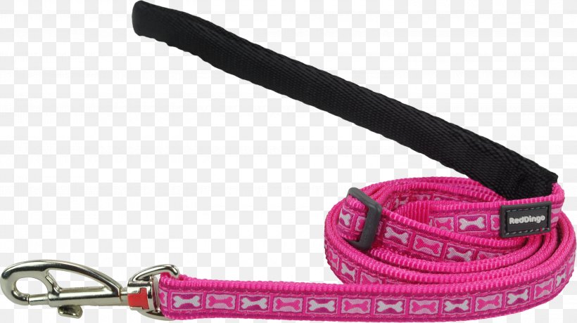 Leash Dog Collar Strap, PNG, 3000x1683px, Leash, Collar, Dog, Dog Collar, Fashion Accessory Download Free