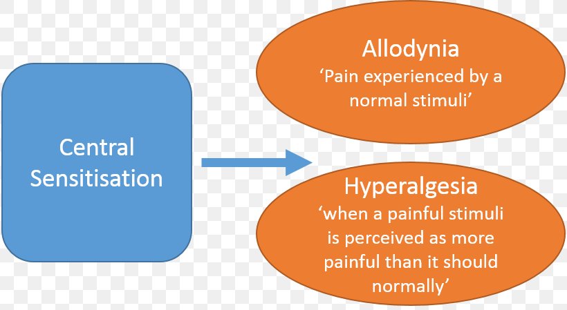 Sensitization Central Pain Syndrome Neuroscience Neuromatrix, PNG, 816x449px, Sensitization, Area, Brand, Communication, Education Download Free