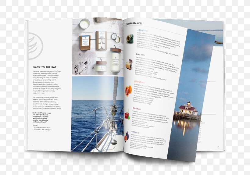 Brand Brochure, PNG, 800x574px, Brand, Brochure Download Free