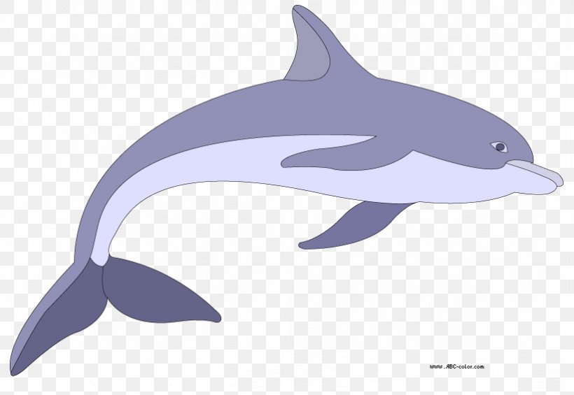 Dolphin Drawing Bitmap Clip Art, PNG, 822x567px, Dolphin, Bitmap, Color, Common Bottlenose Dolphin, Drawing Download Free
