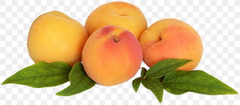 Peach Auglis, PNG, 1043x456px, Peach, Apricot, Auglis, Citrus, Diet Food Download Free