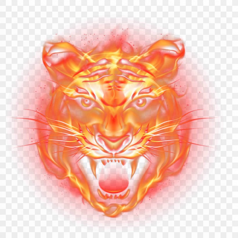 Tiger Fire Flame, PNG, 1024x1024px, Tiger, Big Cats, Carnivoran, Cat Like Mammal, Dwg Download Free