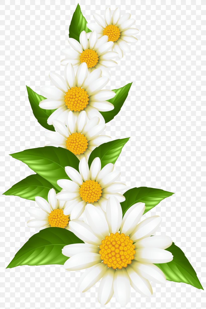 Art Museum Oxeye Daisy Clip Art, PNG, 5347x8000px, Watercolor, Cartoon, Flower, Frame, Heart Download Free