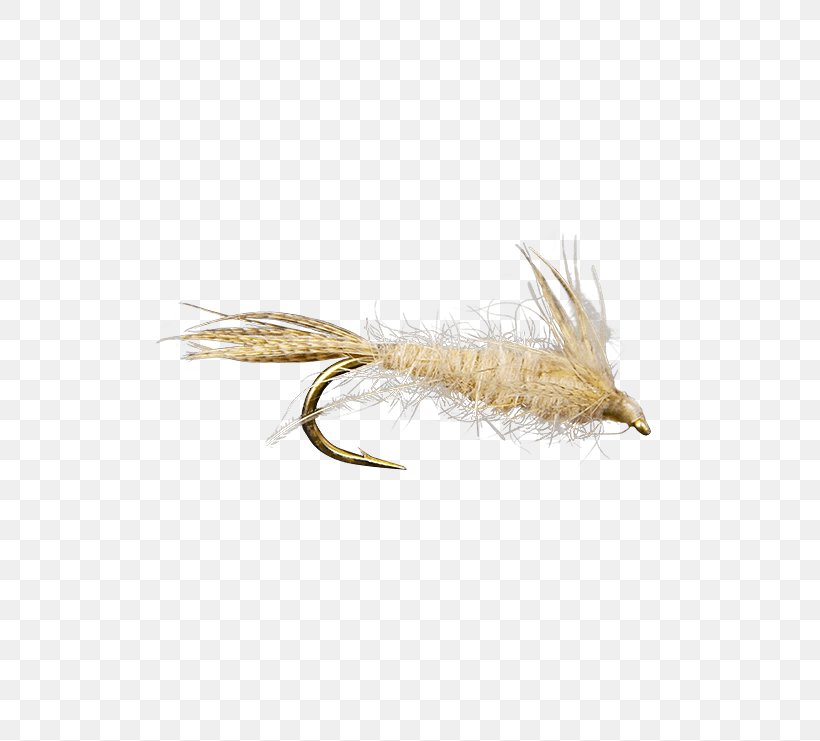 Fly Fishing Rhithrogena Germanica Nymph Holly Flies, PNG, 555x741px, Fly Fishing, Artificial Fly, Brand, Feather, Fishing Download Free