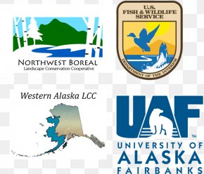 University Of Alaska Fairbanks University Of Alaska Anchorage University Of Colorado Boulder Alderson Broaddus University PNG