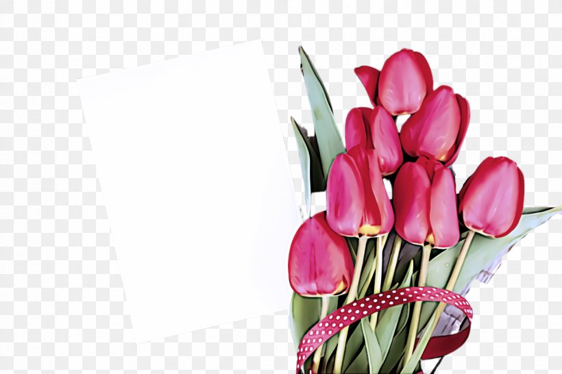 Flower Pink Plant Cut Flowers Tulip, PNG, 1224x816px, Flower, Bouquet, Bud, Cut Flowers, Petal Download Free
