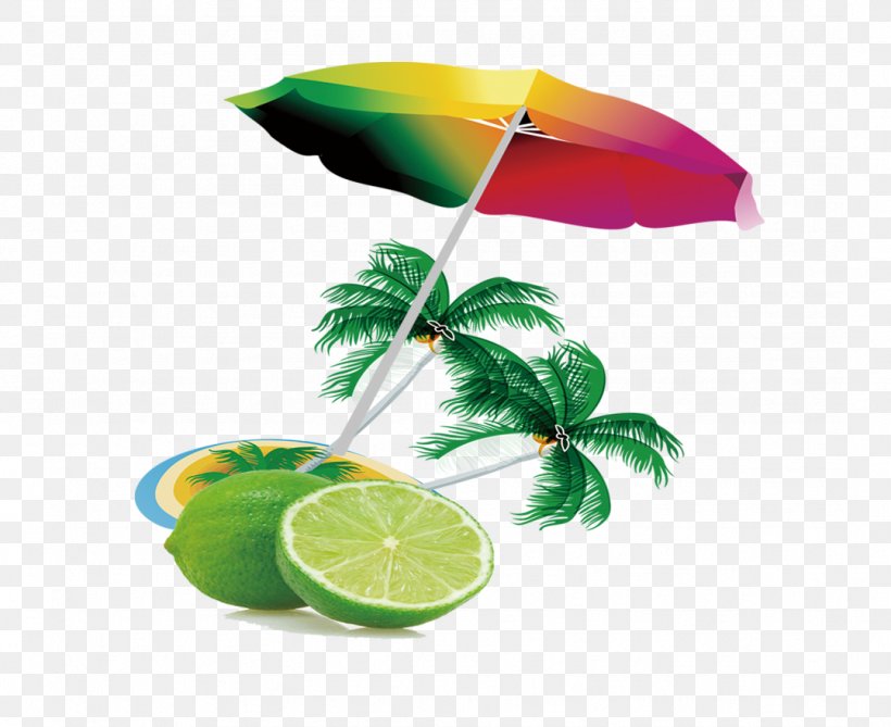 Flower Umbrella, PNG, 1078x880px, Flower, Designer, Lemon, Lime, Plant Download Free