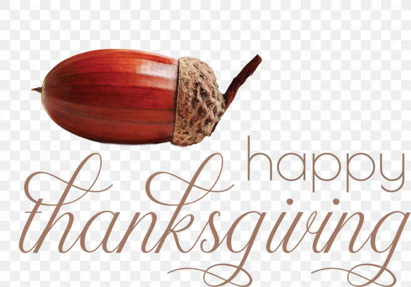 Happy Thanksgiving Thanksgiving Day Thanksgiving, PNG, 3000x2094px, Happy Thanksgiving, Meter, Thanksgiving, Thanksgiving Day Download Free