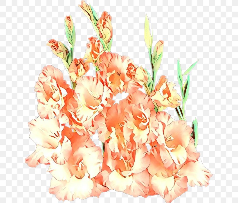 Orange, PNG, 649x699px, Cartoon, Bouquet, Cut Flowers, Flower, Gladiolus Download Free