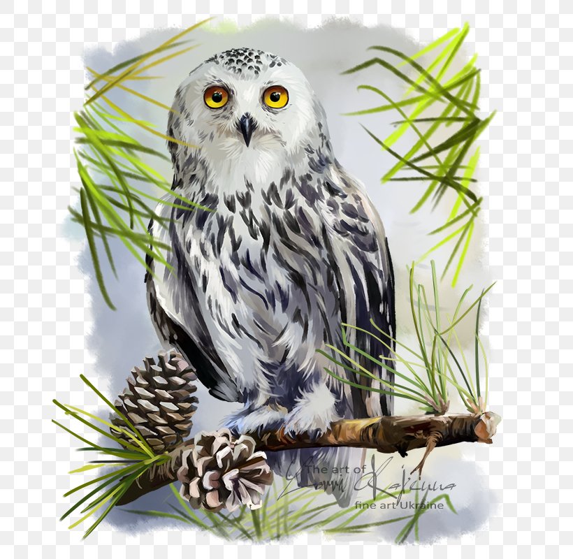 Snowy Owl Bird Great Horned Owl Drawing, PNG, 672x800px, Owl, Barn Owl, Beak, Bird, Bird Of Prey Download Free