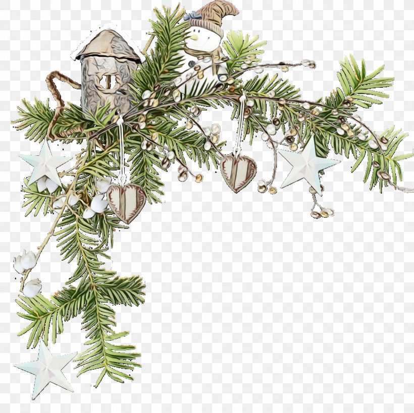 Tree Oregon Pine Plant Shortleaf Black Spruce Jack Pine, PNG, 1600x1600px, Christmas Ornaments, American Larch, Branch, Christmas, Christmas Decoration Download Free