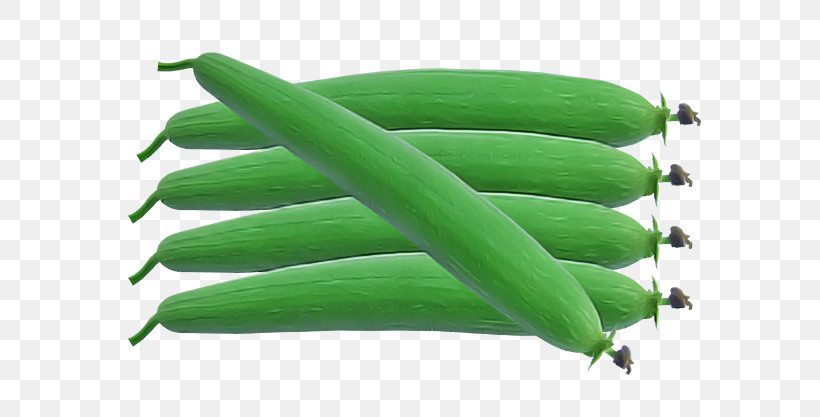 Vegetable Green Beans Commodity Green, PNG, 626x417px, Vegetable, Commodity, Green, Green Beans Download Free