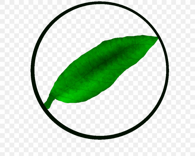 Leaf Green Plant Stem Line Clip Art, PNG, 900x720px, Leaf, Green, Plant, Plant Stem Download Free