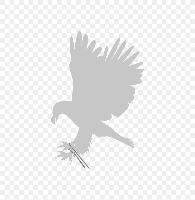 The Taming Of The Shrew Illustration Clip Art Photograph Vector Graphics, PNG, 596x842px, Taming Of The Shrew, Beak, Bird, Bird Of Prey, Black And White Download Free