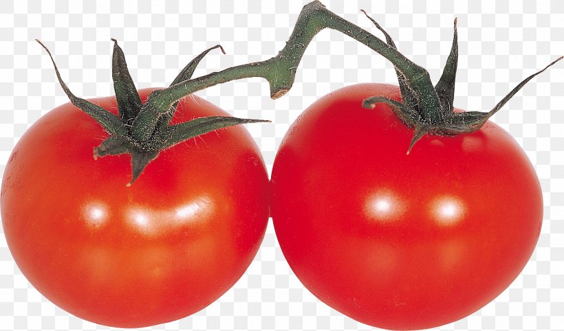 Vegetable Fruit Cherry Tomato, PNG, 2185x1286px, Tomato, Bush Tomato, Computer Graphics, Diet Food, Digital Image Download Free