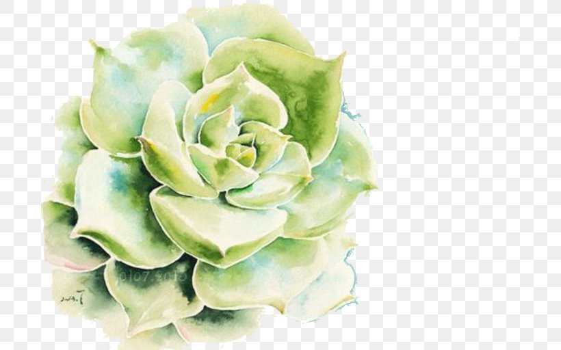 Drawing Succulent Plant Watercolor Painting Wallpaper, PNG, 700x512px, Watercolor, Cartoon, Flower, Frame, Heart Download Free