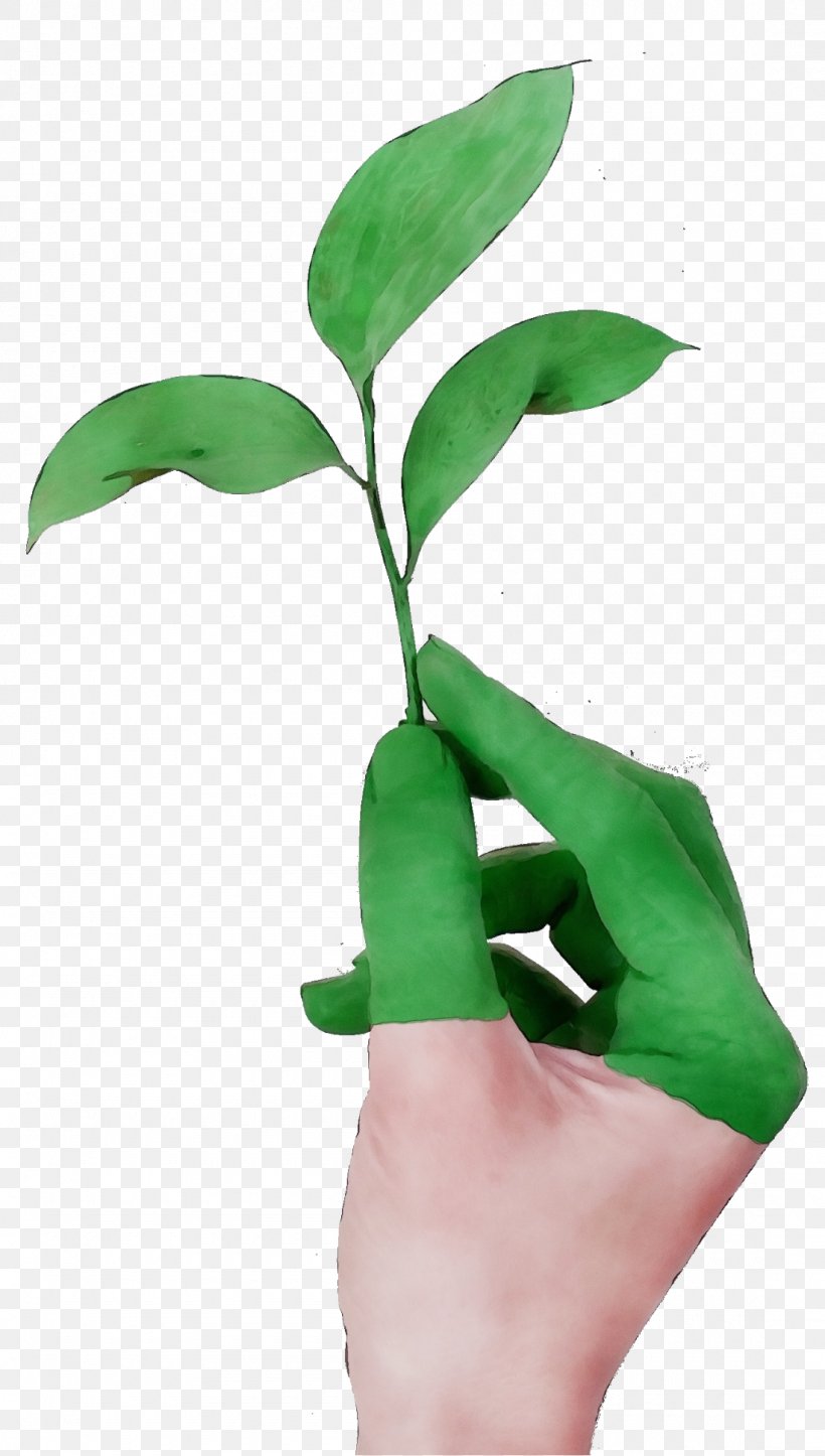 Leaf Green Plant Flower Hand, PNG, 1100x1941px, Watercolor, Finger, Flower, Green, Hand Download Free