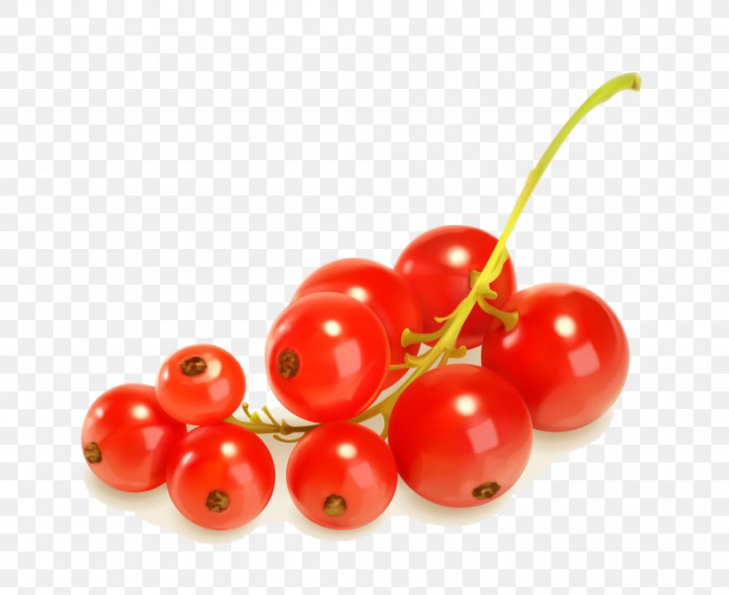 Seaberry Fruit Frutti Di Bosco Vegetable, PNG, 1000x817px, Seaberry, Berry, Cherry, Cranberry, Currant Download Free