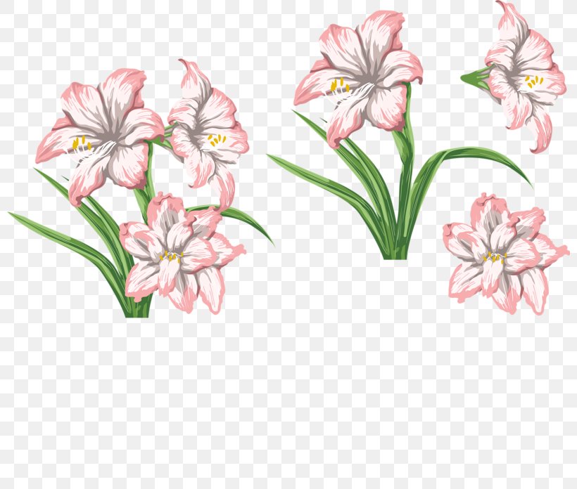 Tiger Lily Flower Floral Design, PNG, 800x696px, Tiger Lily, Amaryllis Belladonna, Amaryllis Family, Art, Cut Flowers Download Free