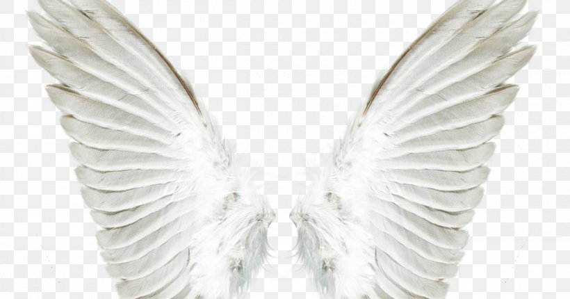 Angel Drawing Clip Art, PNG, 1200x630px, Angel, Beak, Drawing, Feather, Photoscape Download Free