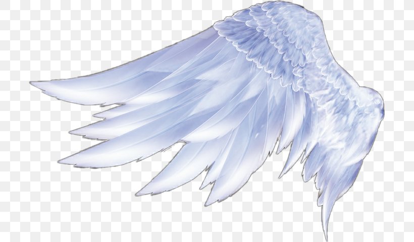 Abstract Angel Wings - Large, white angel wings with shimmering feathers -  CleanPNG / KissPNG