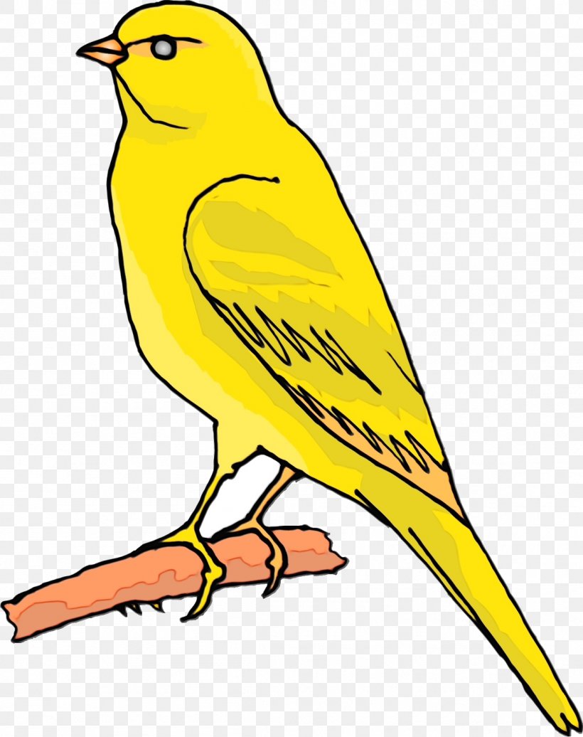 Bird Beak Atlantic Canary Songbird Yellow, PNG, 1153x1458px, Watercolor, Atlantic Canary, Beak, Bird, Canary Download Free