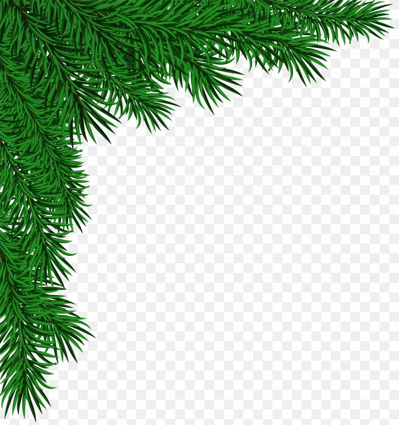 Pine Fir Spruce Christmas Tree, PNG, 5640x6000px, Pine, Arecales, Branch, Christmas, Christmas Decoration Download Free