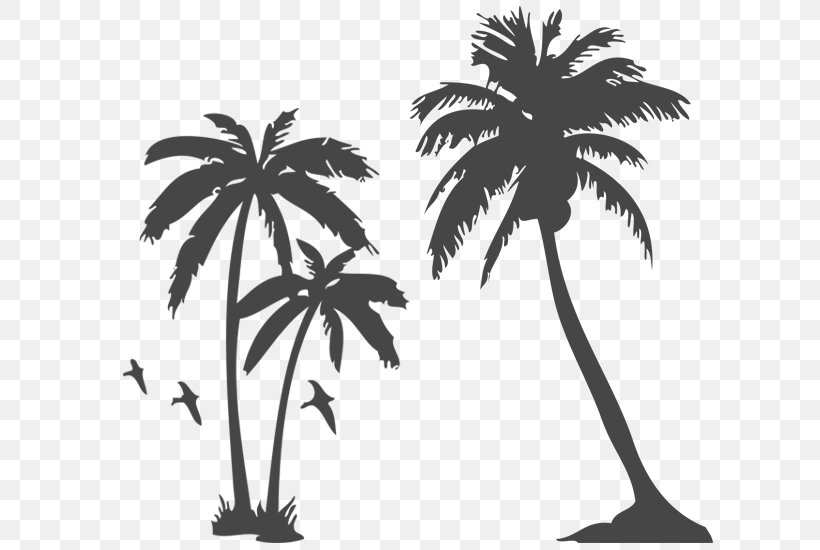 Arecaceae Tattoo Tree Sabal Palm, PNG, 800x550px, Arecaceae, Arecales, Black And White, Borassus Flabellifer, Branch Download Free