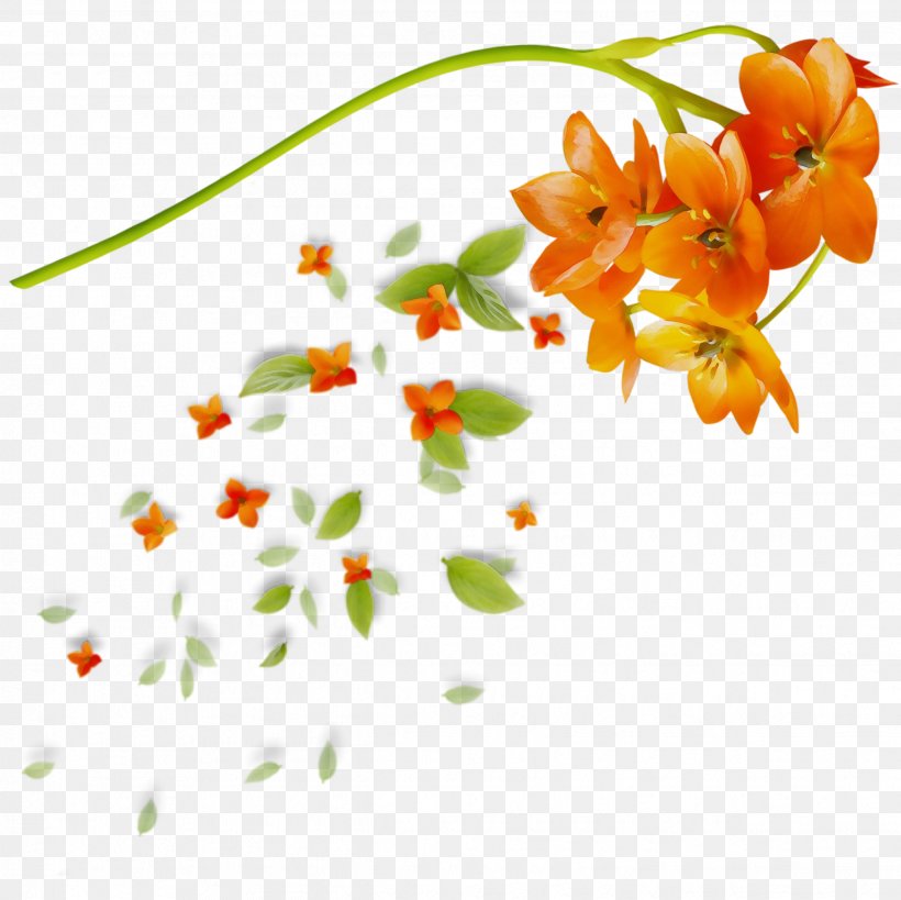 Flowers Background, PNG, 2479x2479px, Floral Design, Branch, Cut Flowers, Flower, Leaf Download Free