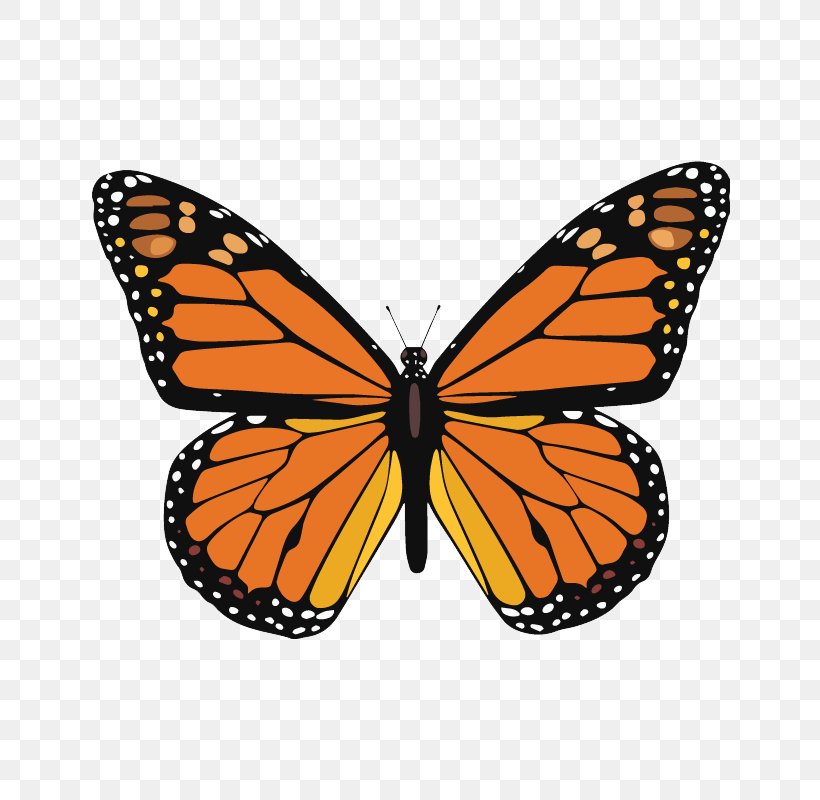 Monarch Butterfly Multiple Sclerosis Clip Art, PNG, 800x800px, Butterfly, Arthropod, Awareness, Awareness Ribbon, Brush Footed Butterfly Download Free
