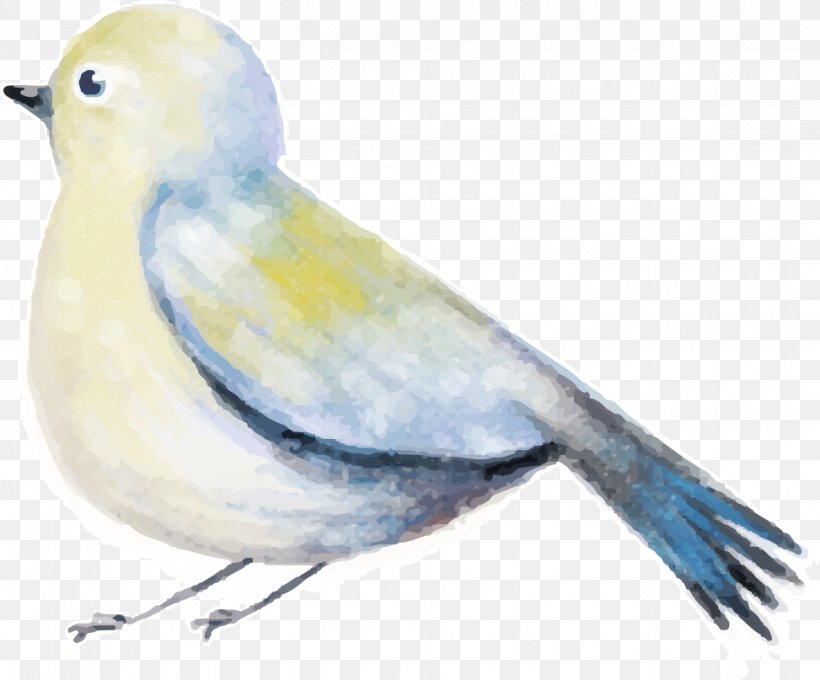 Bird Watercolor Painting Download Drawing, PNG, 973x807px, Bird, Beak, Bluebird, Common Pet Parakeet, Drawing Download Free