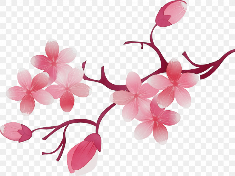 Cherry Blossom, PNG, 1304x977px, Watercolor, Artificial Flower, Blossom, Branch, Cherry Blossom Download Free