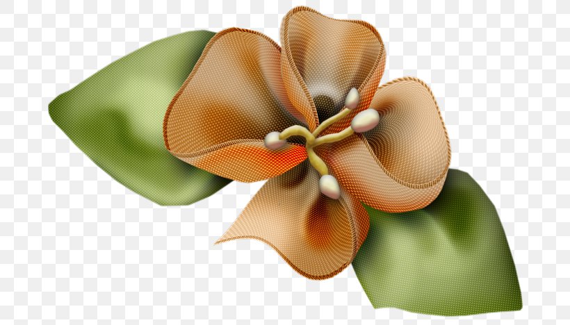 Cut Flowers Artificial Flower Flower Bouquet Clip Art, PNG, 700x468px, Cut Flowers, Artificial Flower, Arumlily, Butterfly, Com Download Free