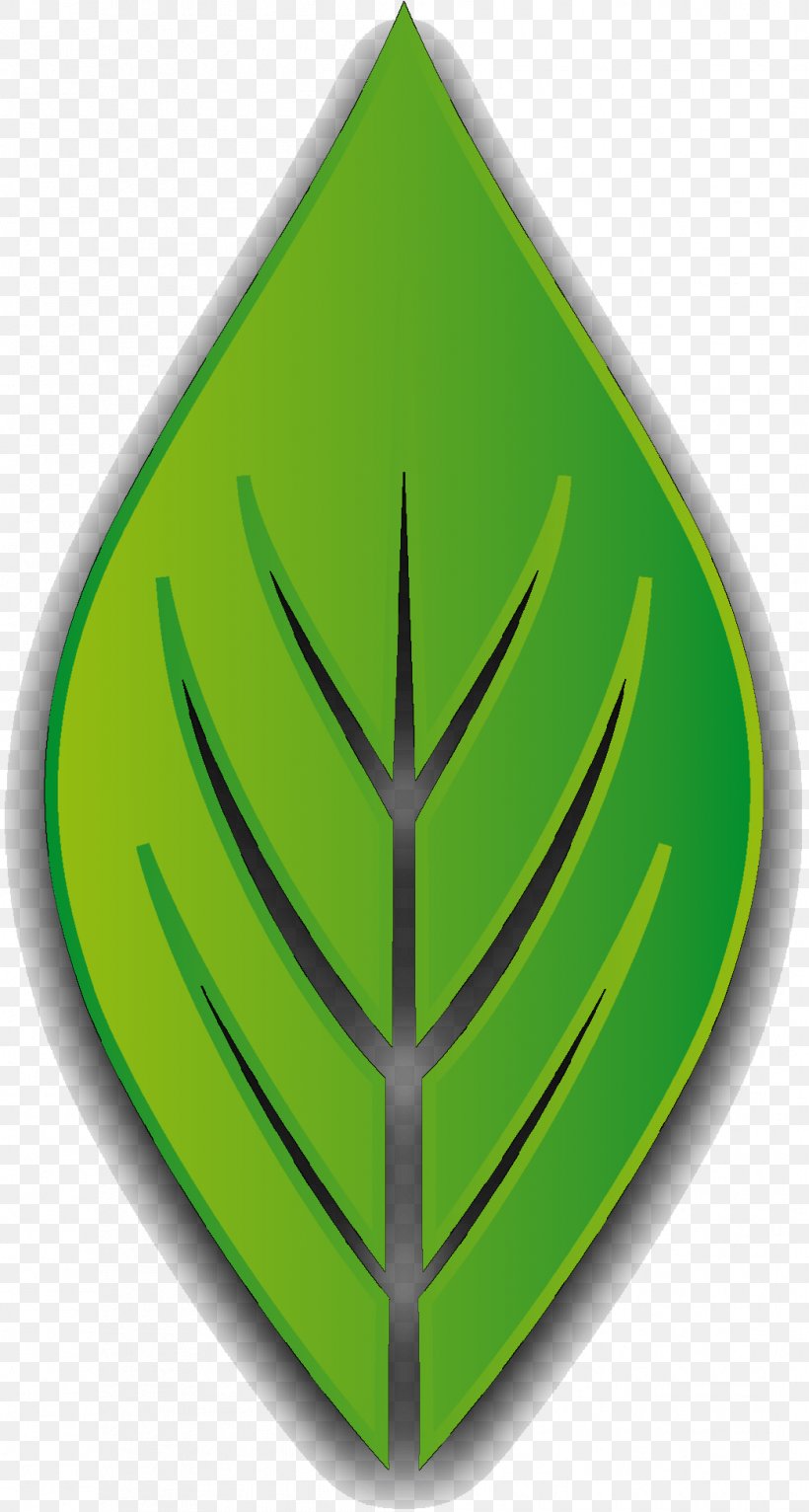 Leaf Font Tree Triangle, PNG, 1044x1951px, Leaf, Green, Logo, Plant, Tree Download Free