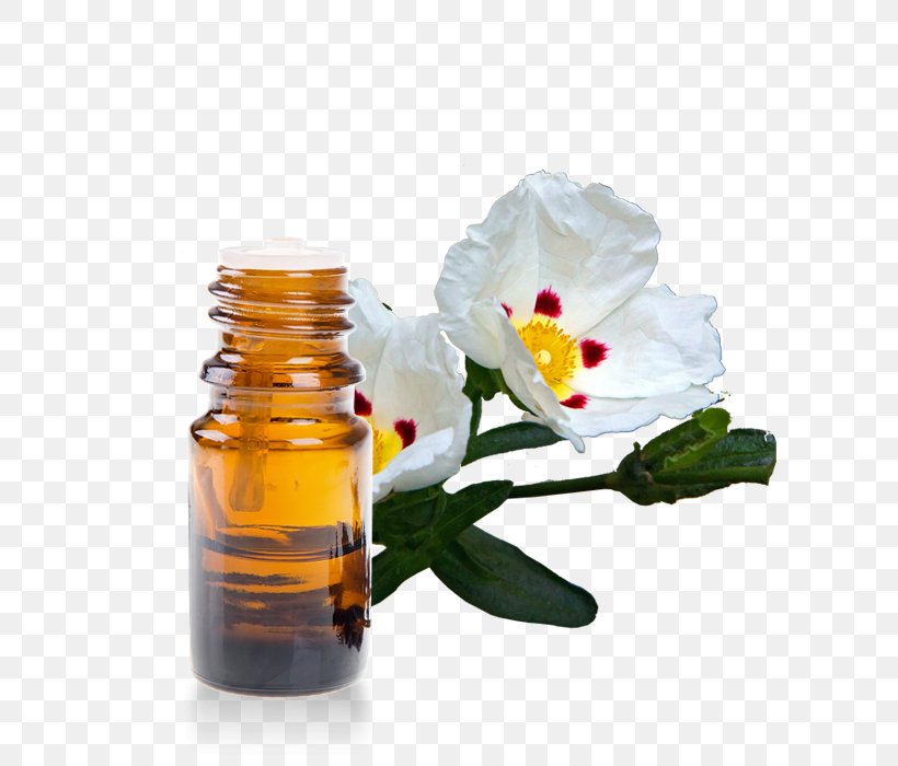 Lotion Essential Oil Neroli Perfume, PNG, 700x700px, Lotion, Argan Oil, Aroma Compound, Aromatherapy, Cananga Odorata Download Free