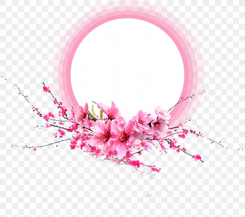 Pink Petal Flower, PNG, 2899x2571px, Pink, Animation, Blossom, Cherry Blossom, Color Download Free