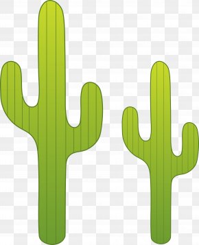 Green cactus, Cactaceae Saguaro Drawing, Arizona Cowboy s, hand, plant Stem  png