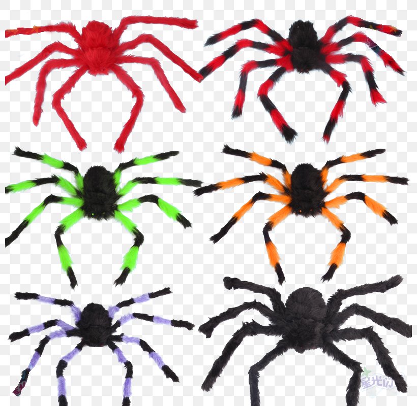 Spider Web Stuffed Toy Halloween, PNG, 800x800px, Spider, Arachnid, Arthropod, Balloon, Costume Download Free