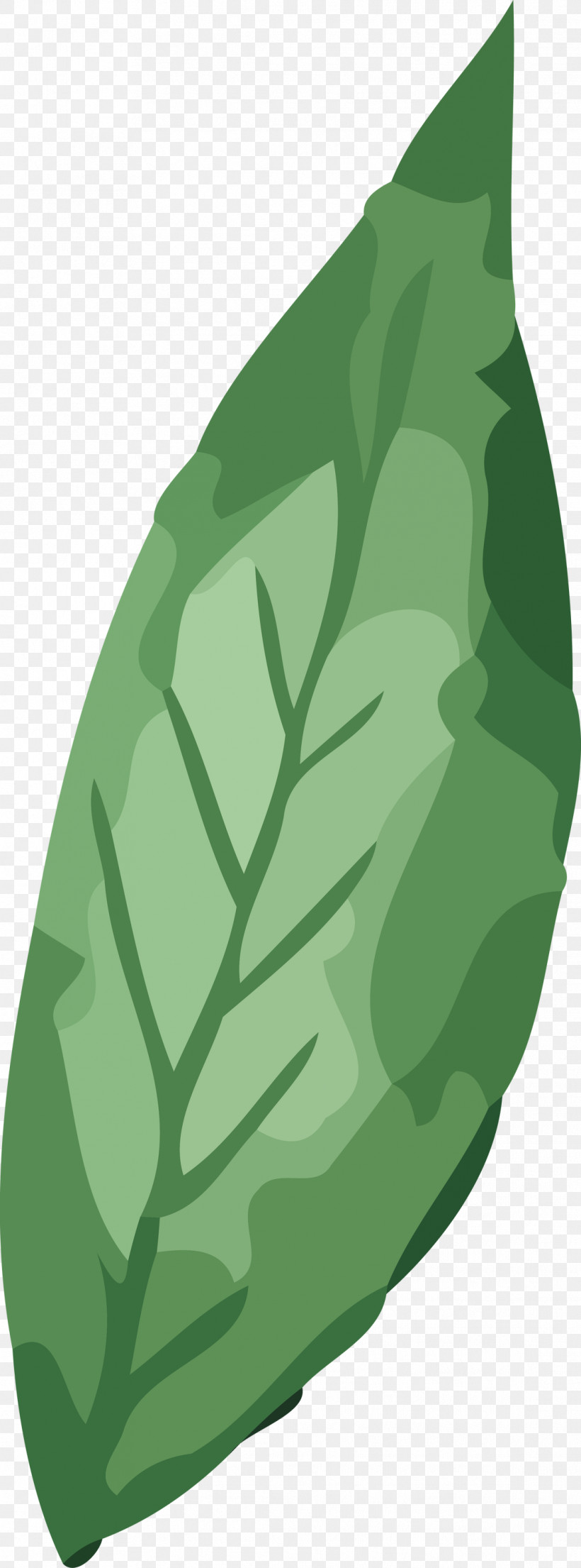 Leaf Vegetable Green Plant Structure Science, PNG, 1113x3000px, Leaf, Biology, Green, Plant Structure, Plants Download Free