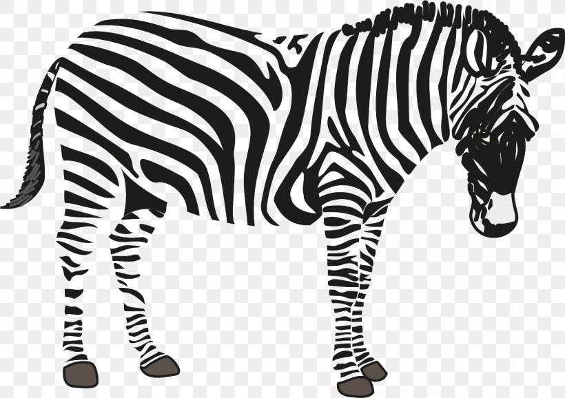 Zebra Clip Art, PNG, 1613x1138px, Zebra, Animal Figure, Black And White, Cuteness, Drawing Download Free
