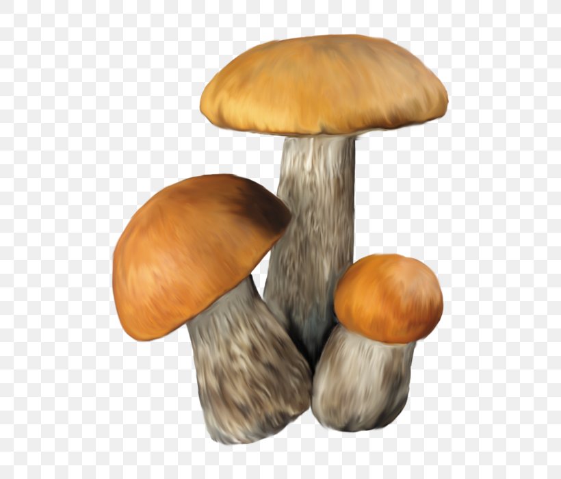 Aspen Mushroom Edible Mushroom Clip Art, PNG, 500x700px, Aspen Mushroom, Boletus Edulis, Edible Mushroom, Fungus, Furniture Download Free