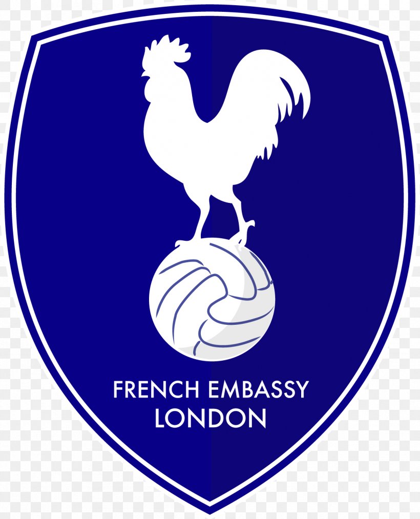 France National Football Team Embassy Of France, London Sports Association, PNG, 1209x1494px, France National Football Team, Area, Artwork, Ball, Beak Download Free