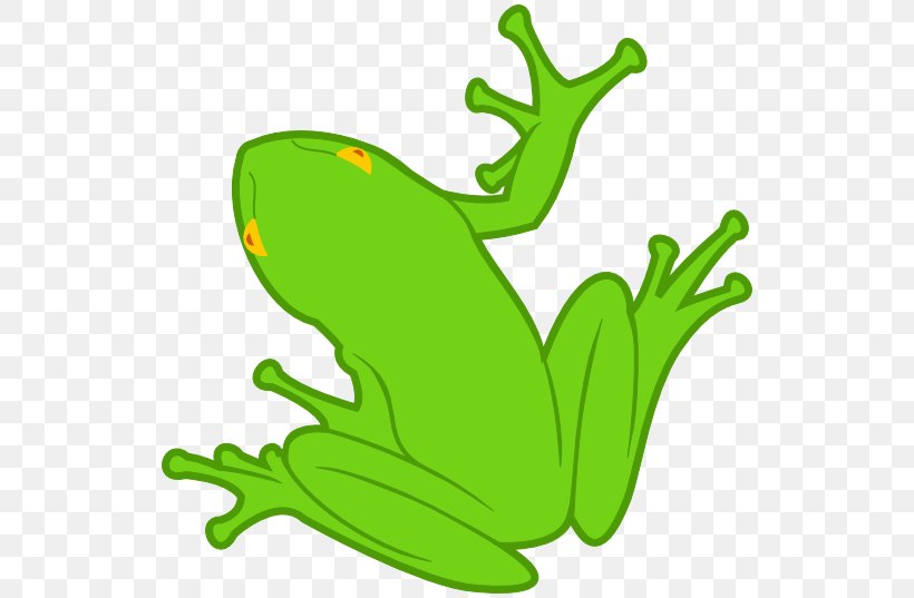Frog Amphibian Clip Art, PNG, 538x537px, Frog, Amphibian, Art, Artwork, Cartoon Download Free