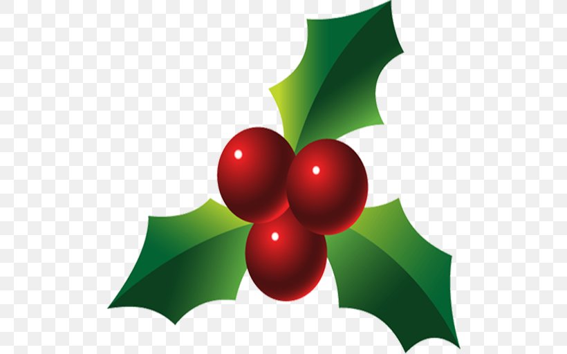 Holly Clip Art, PNG, 512x512px, Holly, Aquifoliaceae, Aquifoliales, Christmas, Christmas Ornament Download Free